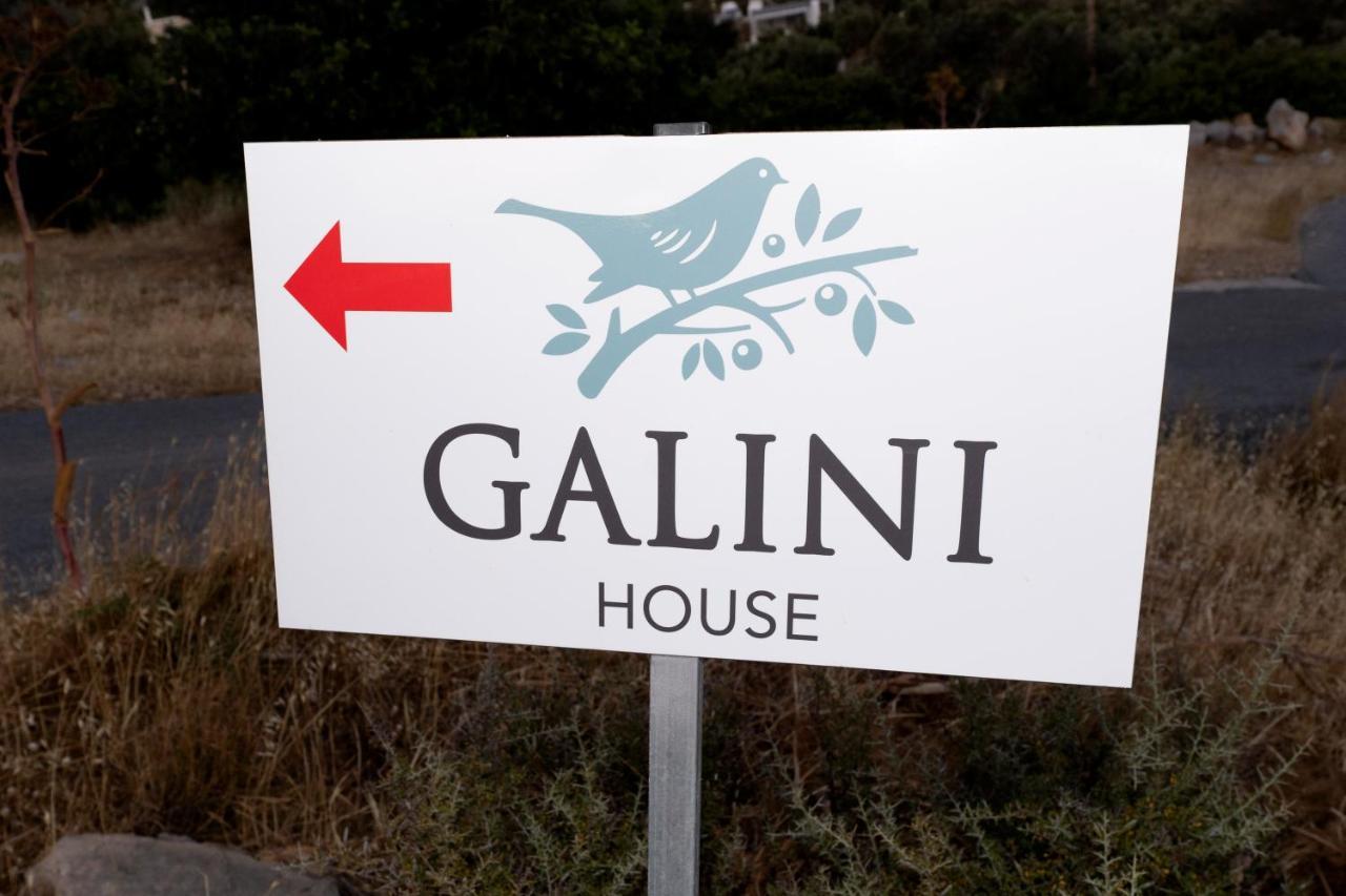 特里欧皮特拉Galini House别墅 外观 照片